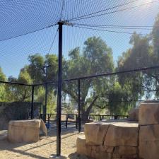 New lion enclosure construction moorpark ca (11)